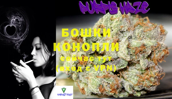 дживик Белокуриха