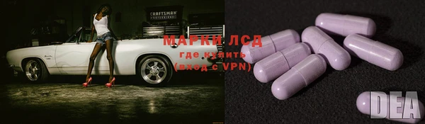 дживик Белокуриха