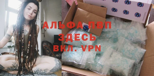 дживик Белокуриха