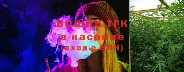 дживик Белокуриха