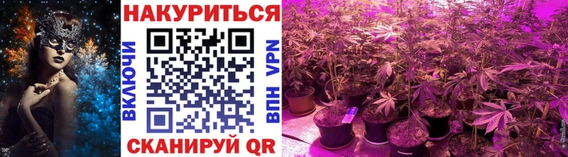наркота  Кимры  Марихуана Amnesia 